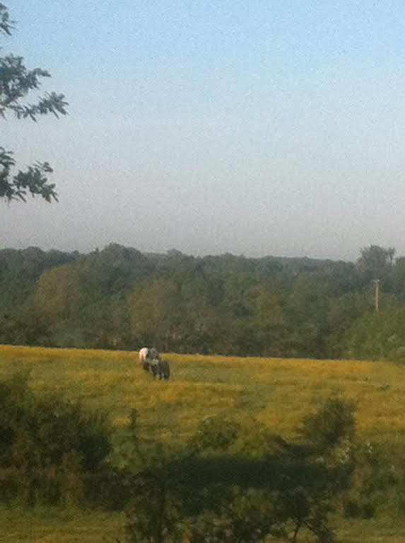 The Farmhouse Saxmundham Bagian luar foto